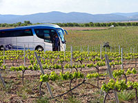 Valencia wine bus tour